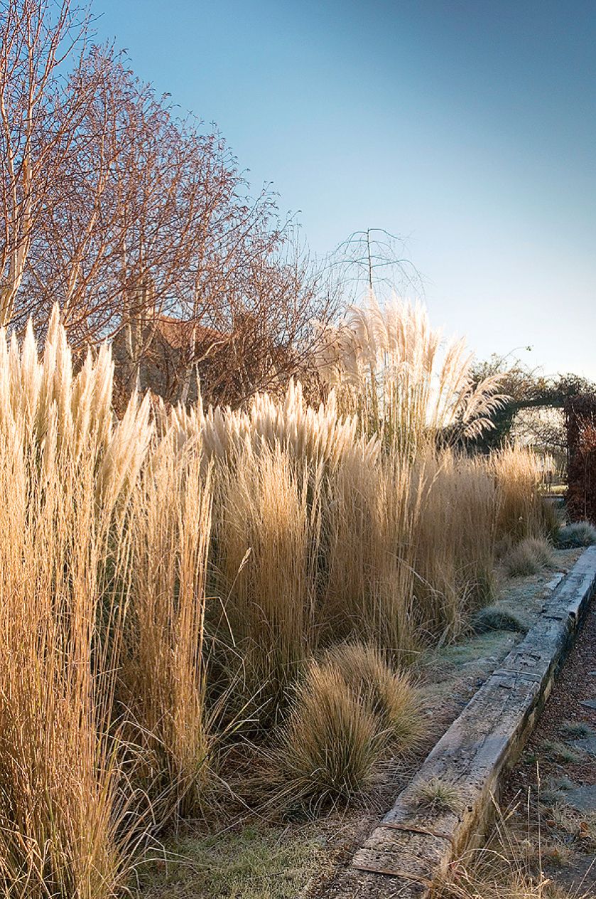 Kathy Brown s Garden. Ogród mrozem malowany