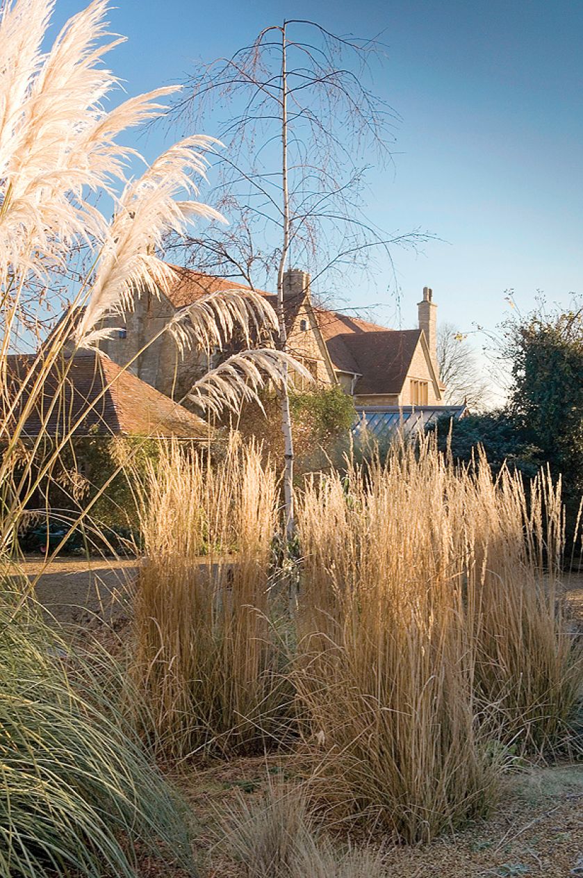 Kathy Brown s Garden. Ogród mrozem malowany