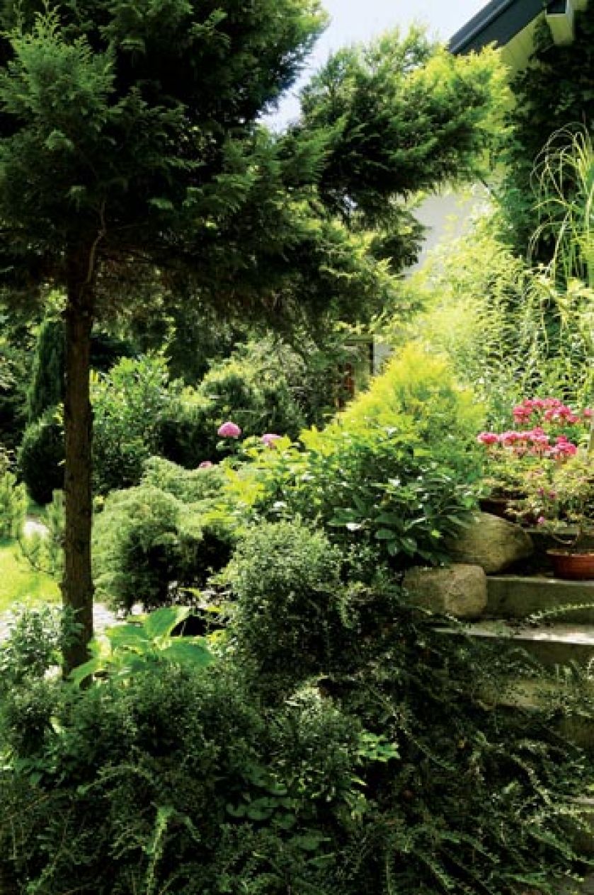 Każde drzewo czy krzew ma inny odcień zieleni, wielkość, kształt, liście... Wszystkie razem sprawiają wrażenie,