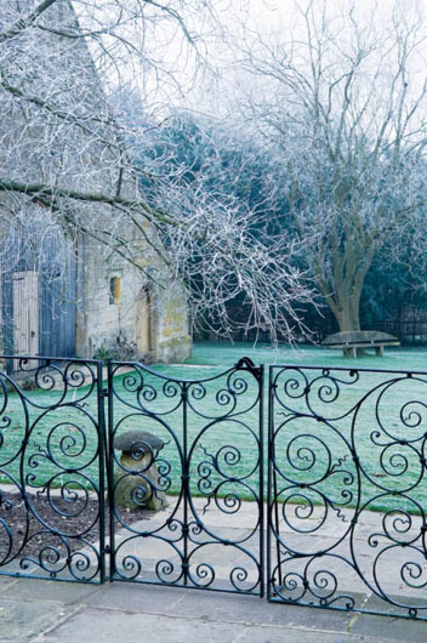 Kilometry zmrożonych żywopłotów poskręcanych jak włoskie lody, przyciętych w stożki i kule.