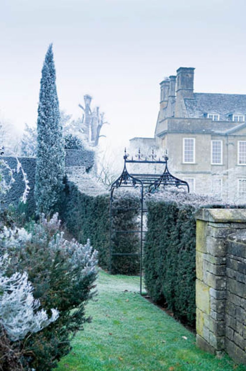 Kilometry zmrożonych żywopłotów poskręcanych jak włoskie lody, przyciętych w stożki i kule.