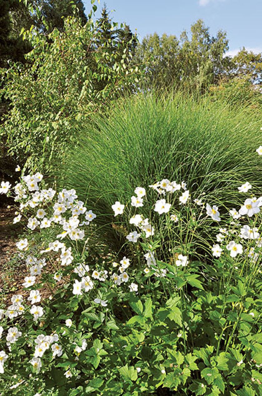 Kto szuka pomysłu na własny ogród, powinien zajrzeć na Dolny Śląsk do Wojsławic.