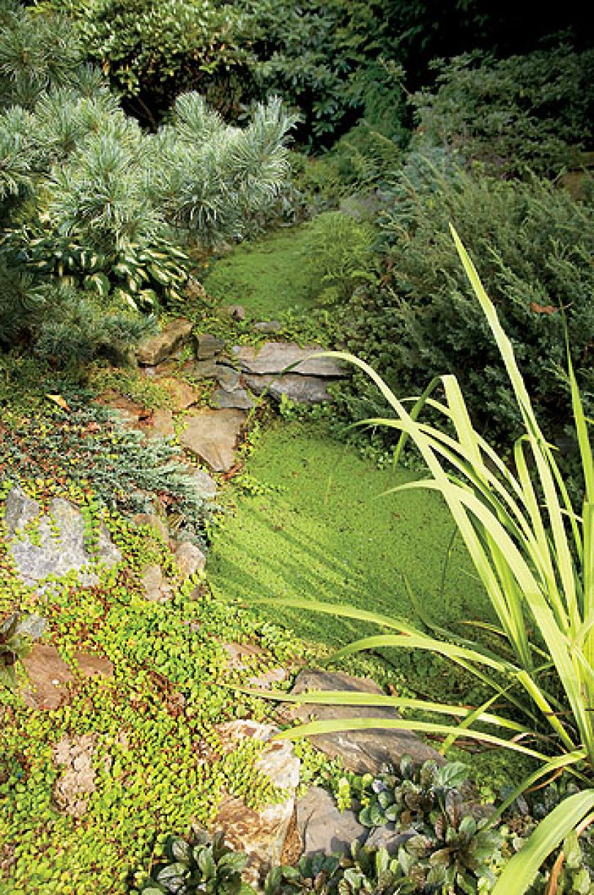 Najpierw można podumać nad strumykiem. Potem poczytać na ławce przy fontannie. A na koniec pooglądać karpie w stawie. Ten