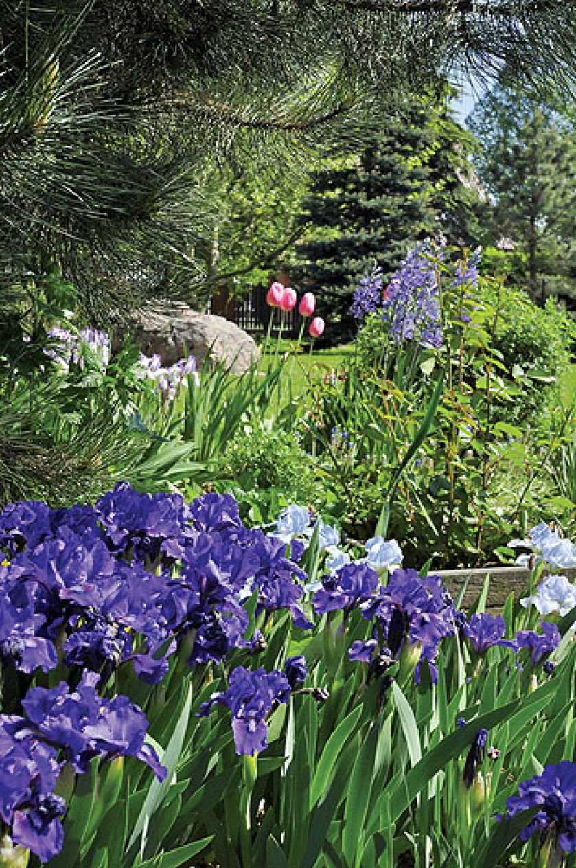 Ogród ma cieszyć oko przez cały rok. Posadzone w nim rośliny nie kwitną wszystkie naraz, ale w kolejnych miesiącach,