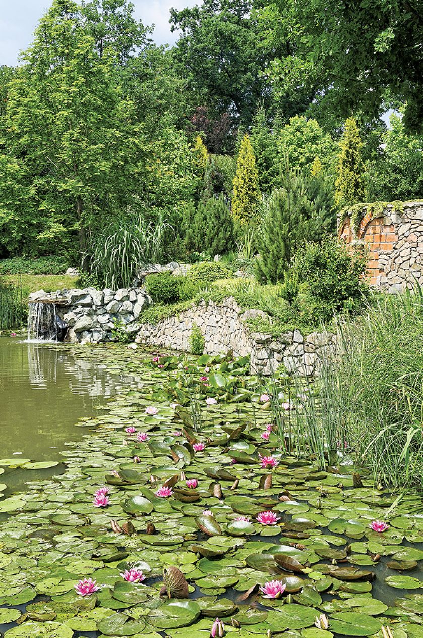 Ogród z pomysłowymi zakątkami