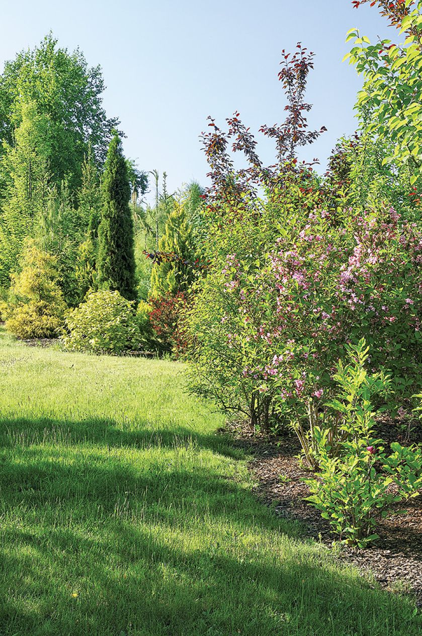Ogród ze stawem, altankami i ławeczkami do dumania.