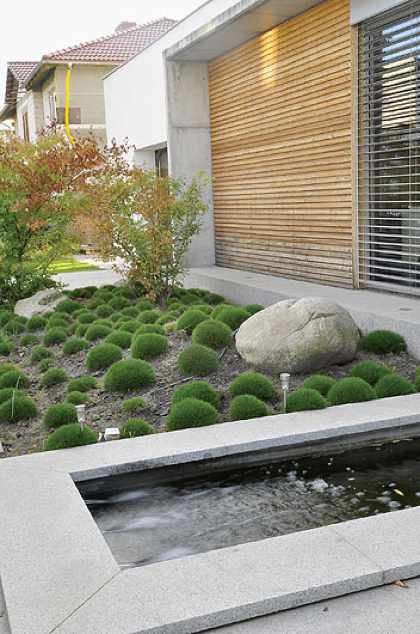 Okrągłe kępy puszystych traw, drzewka z kulistymi koronami, niewielkie głazy, kuliste kopczyki zarastające powoli mchem.