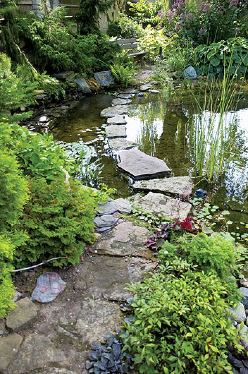 Przez staw można przejść suchą stopą po wkopanych w dno kamieniach. Tak samo jak w ogrodach Japonii.