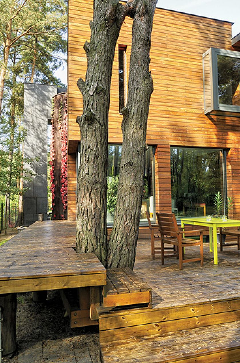 Ściana obłożona tarniną, po której spływa solanka.