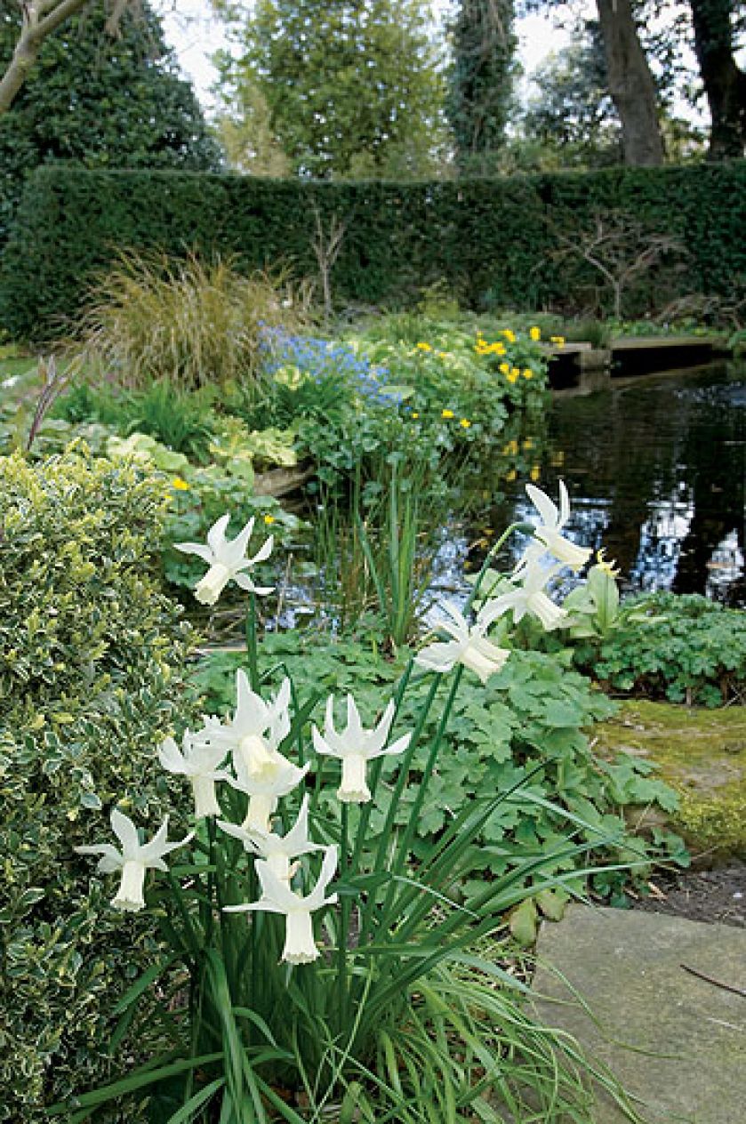 Dziki park z ogrodem francuskim