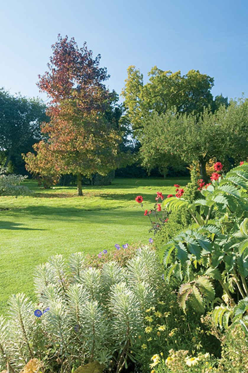 W ogrodzie rosną głównie krzewy: pięknie pachnące azalie, bujne rododendrony i ozdobne przez cały rok mahonie.