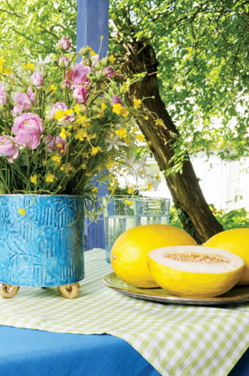 Wszystkie dodatki i dekoracje także są w żywych barwach.