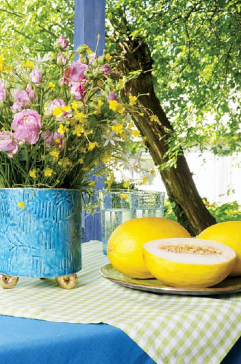 Wszystkie dodatki i dekoracje także są w żywych barwach.