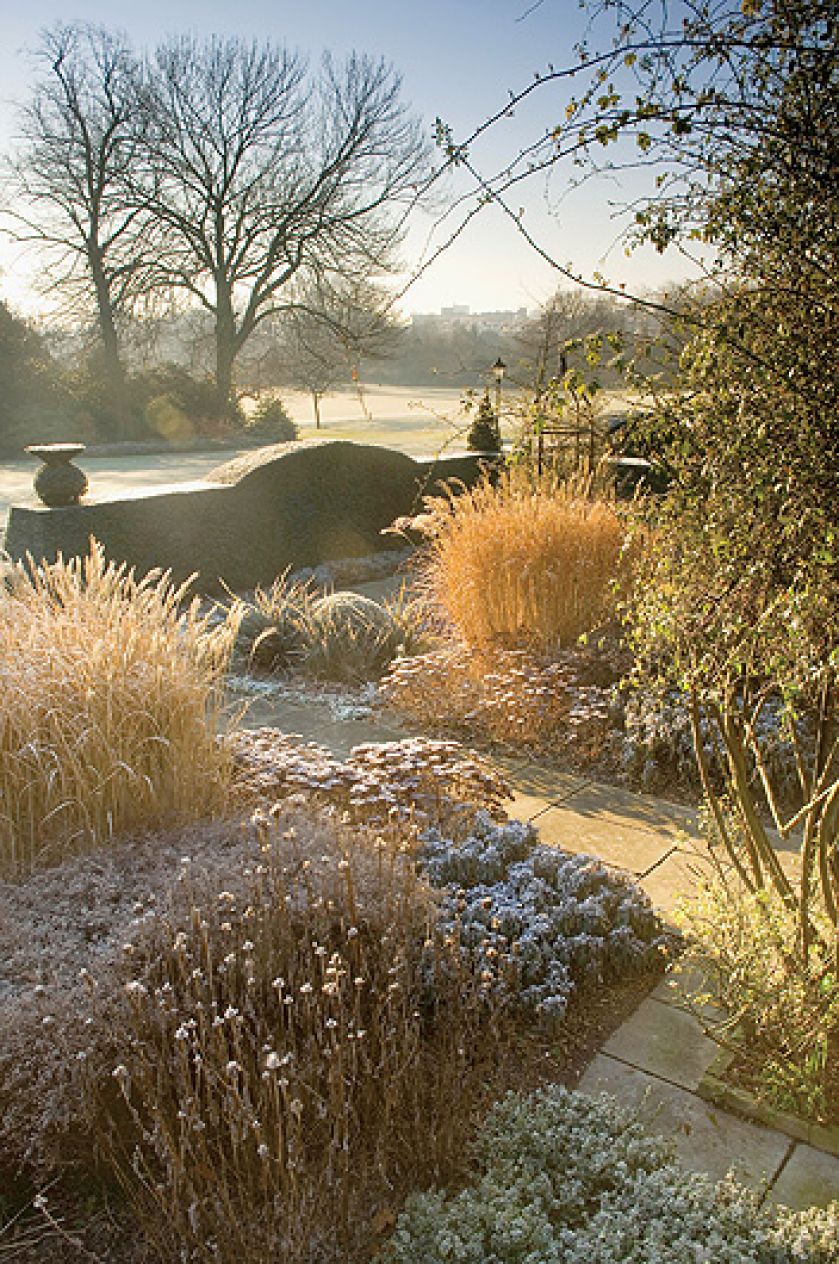 Zimą zmieniają się kolory i życie ustępuje miejsca mocnym cieniom rzucanym przez zimowe słońce i