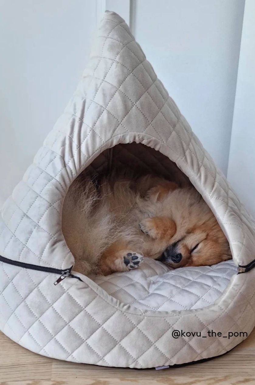 legowiska dla psa i kota