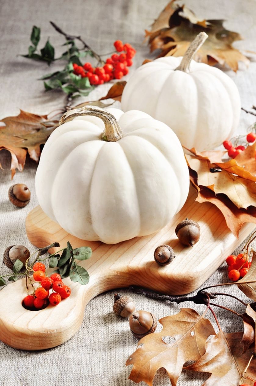 biała dynia pomysły na dekoracje stołu