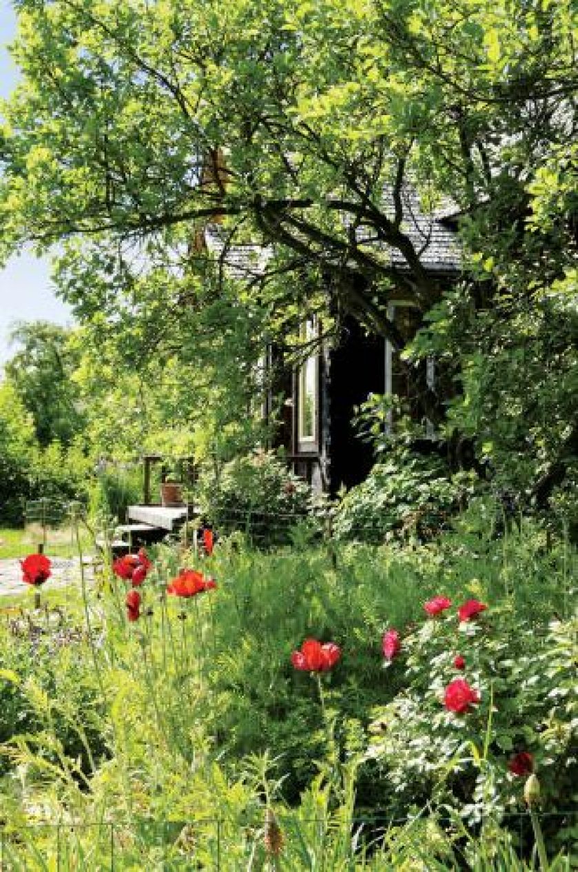 Czym pachnie lato. Czym pachnie lato