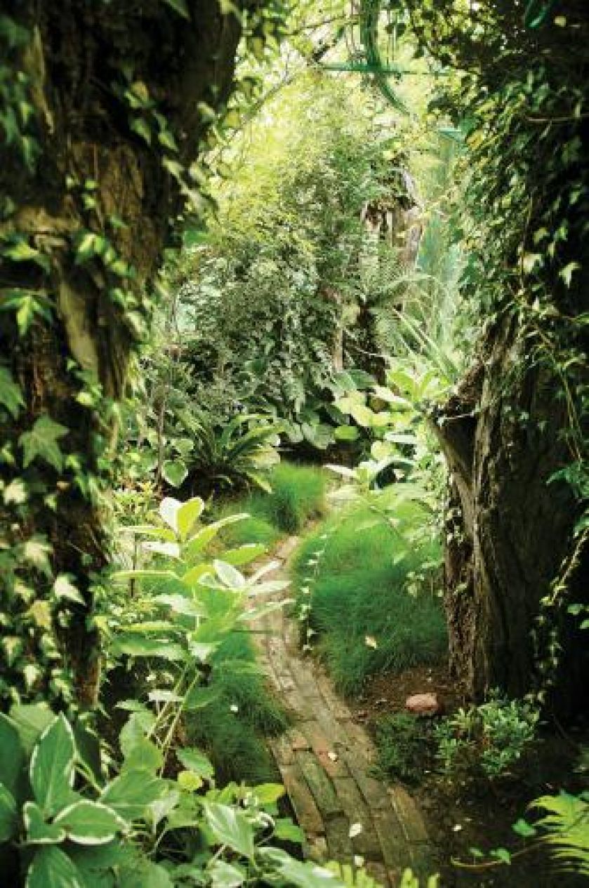 Idąc tą ścieżką, czujemy się jak w zaczarowanym ogrodzie.