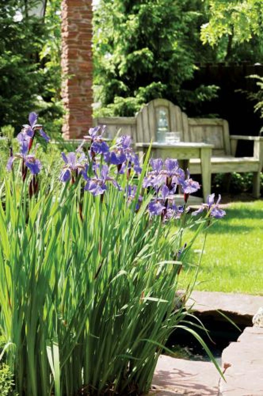 Kwiaty w ogrodzie. Ogród zadumany