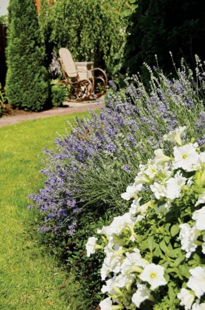 Ogród o każdej porze roku zachwyca kolorami.