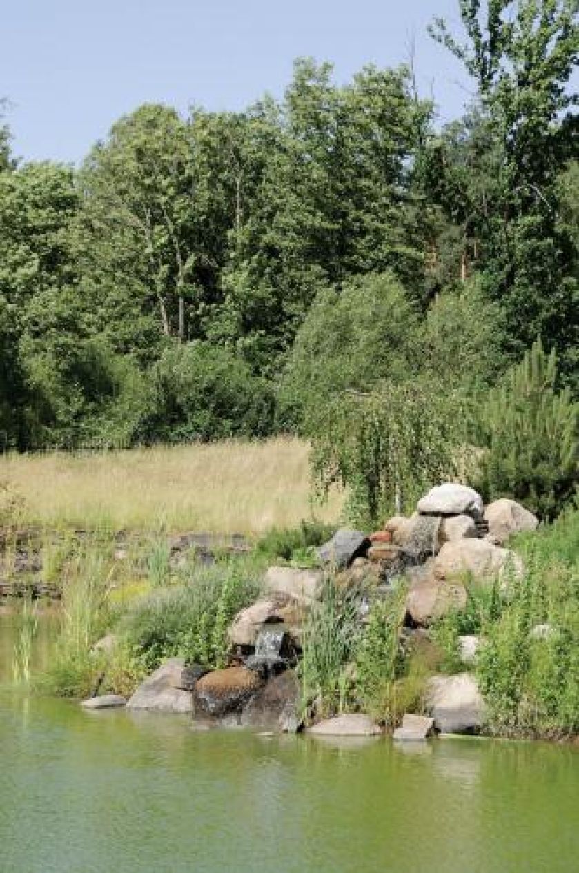 Staw z małym wodospadem. Prawie jak stara mazowiecka chata