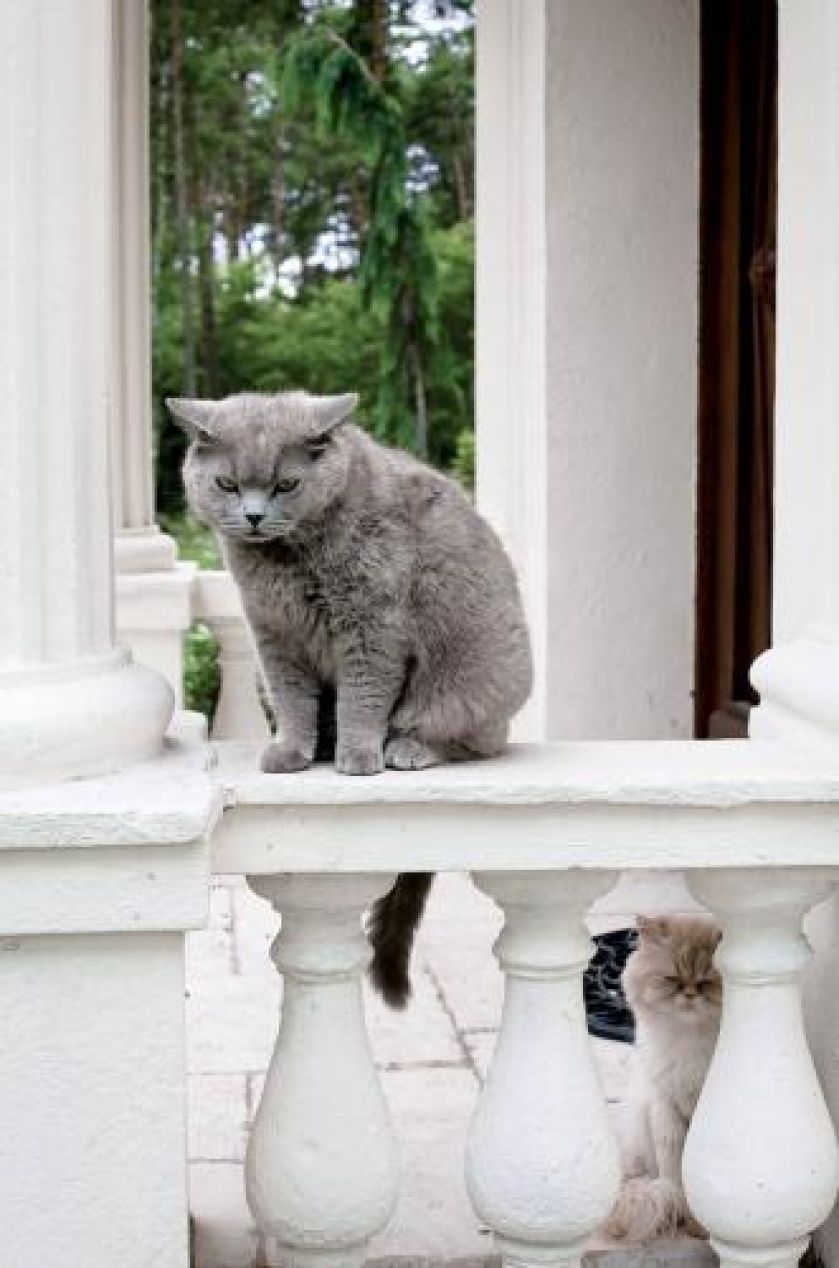 Jak Marta i Marcin zamieszkali w dworku znanym z Czterech pancernych .