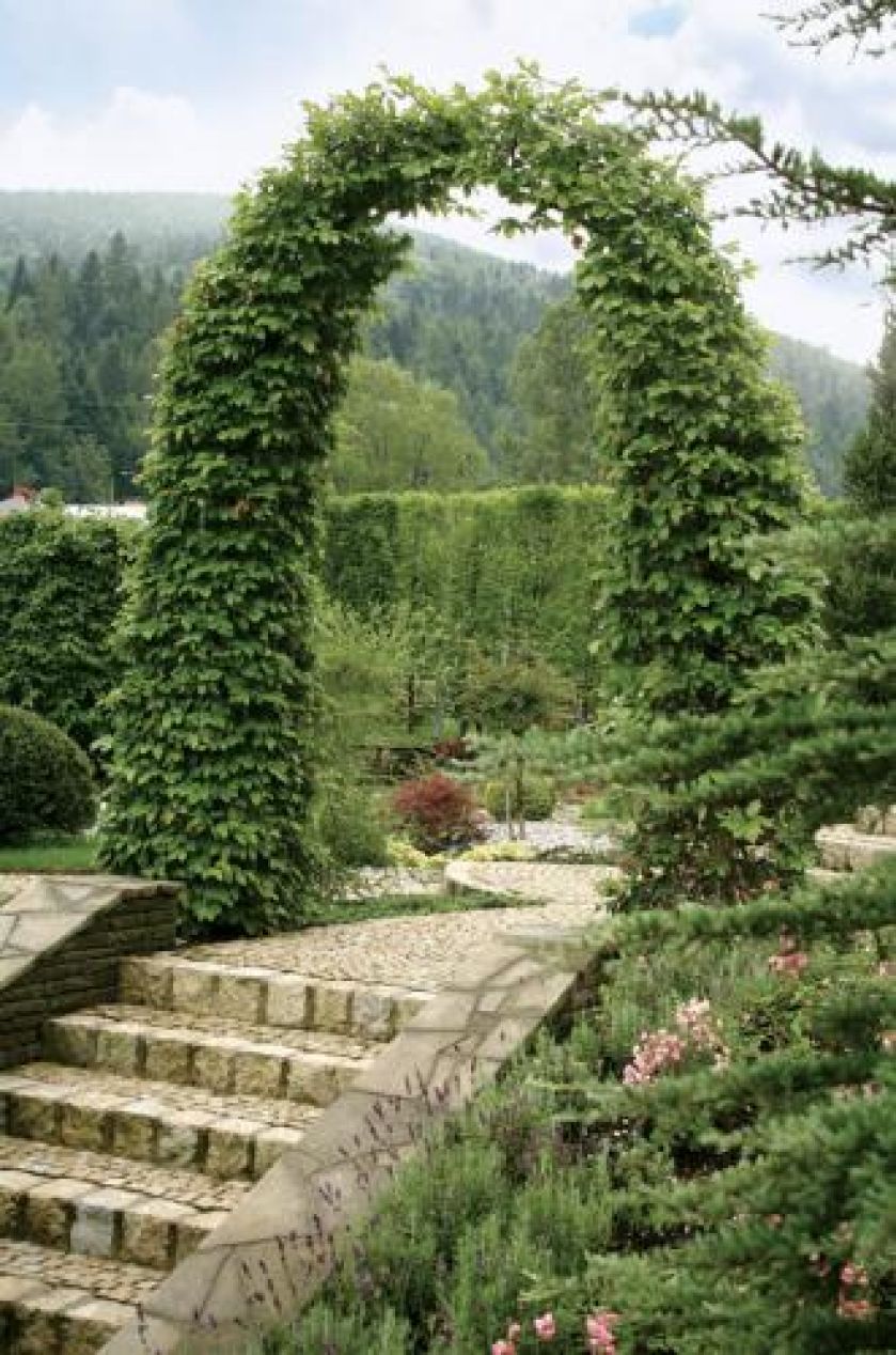 Tarasowy ogród otoczony naturą