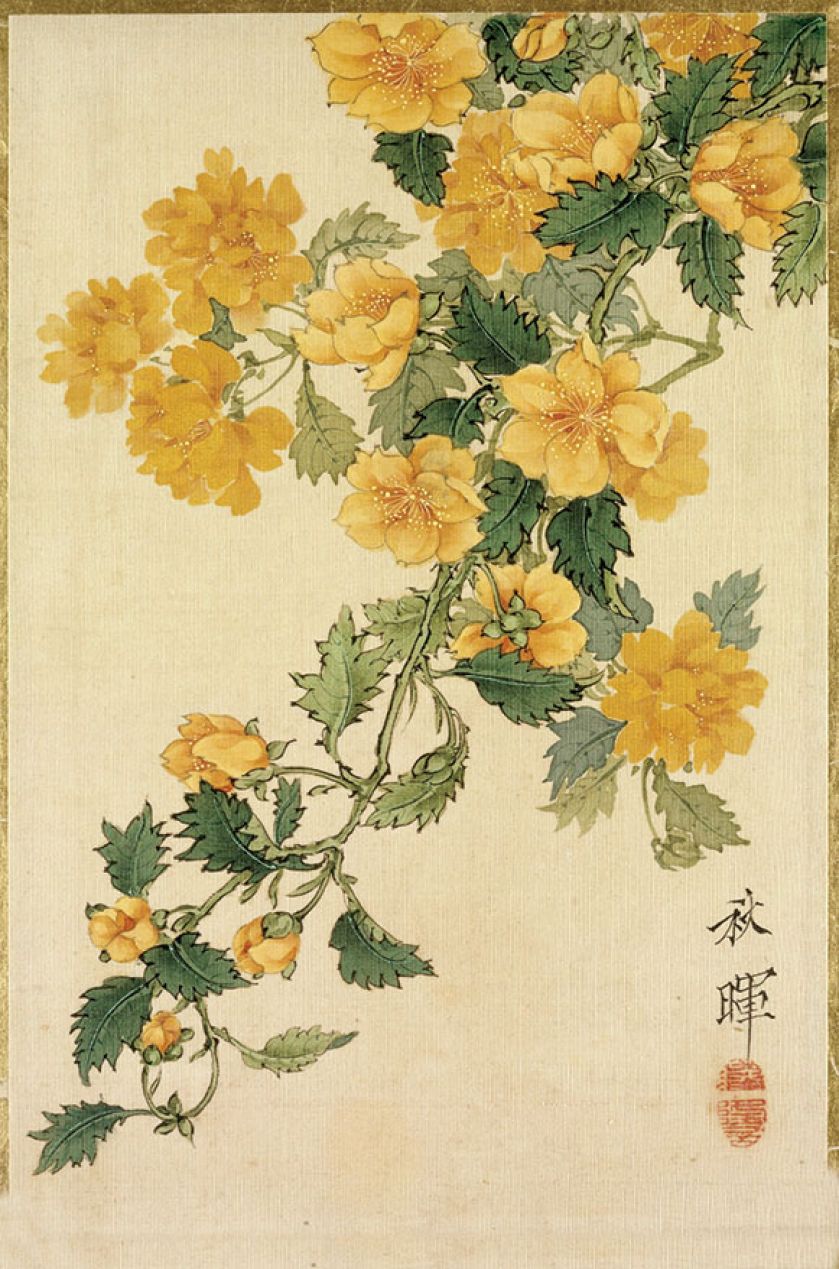 Ikebana nie jest zwykłym bukietem – każdy kwiat symbolizuje jakieś uczucie. Gdy usta milczą, mówią