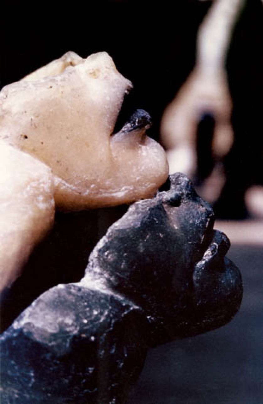 Alina Szapocznikow, Portret wielokrotny (dwukrotny) , 1967 r., MUZEUM SZTUKI NOWOCZESNEJ W WARSZAWIE