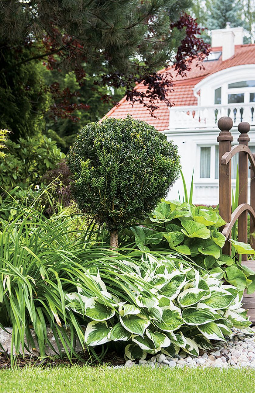 Drzewa, krzewy i małe rośliny ozdobne.