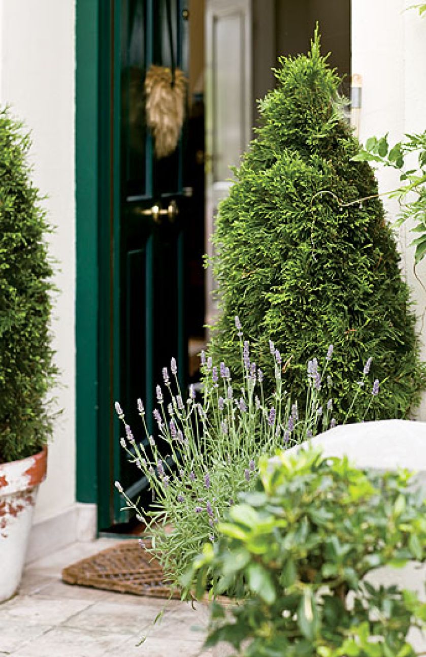 Posiadłość w angielskim stylu