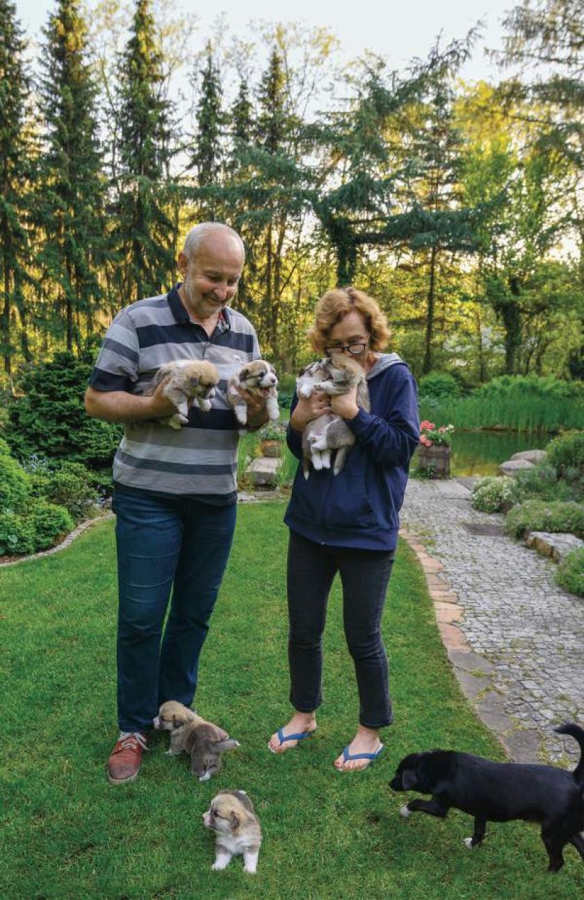 Ten ogród robi to, co chce: naturalnie zaaranżowany ogród blisko lasu