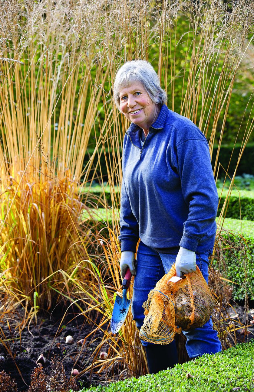 Najpiękniejszy jesienny ogród Holandii