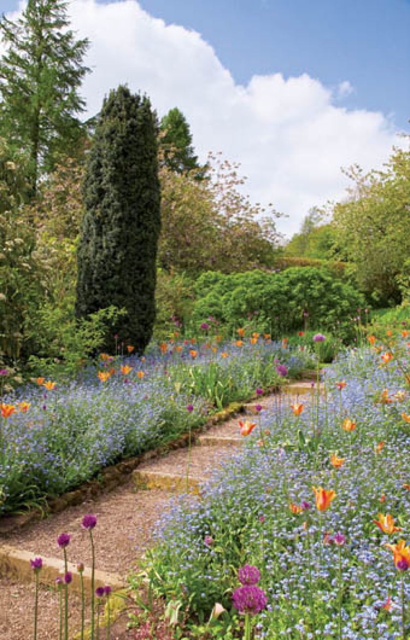 Rabata wygląda jak łąka. Ogród miłości