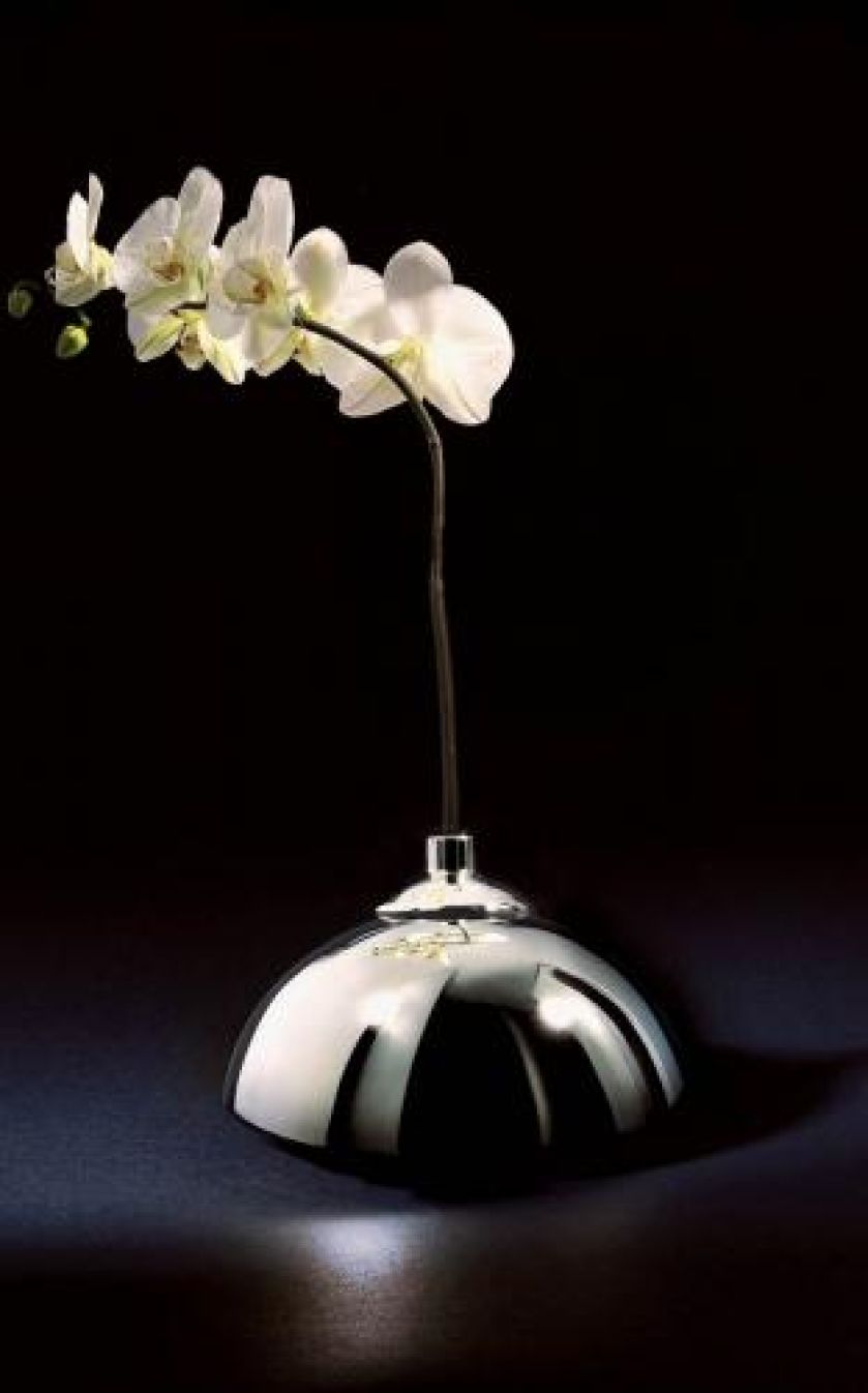 Seduction Still, Rosenthal. Bajeczna kolekcja