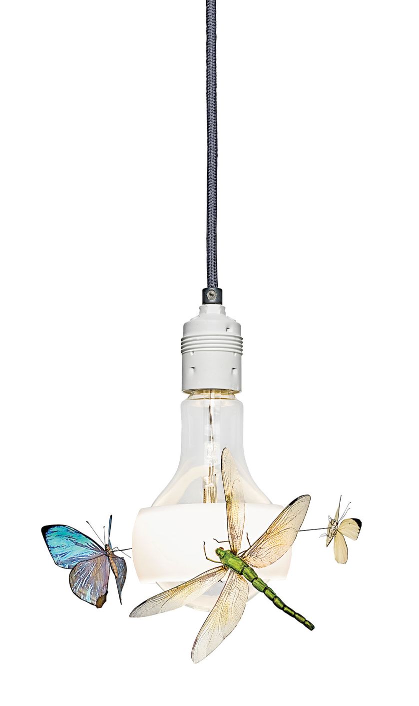 pamiątki z podróży dekoracje wnętrz