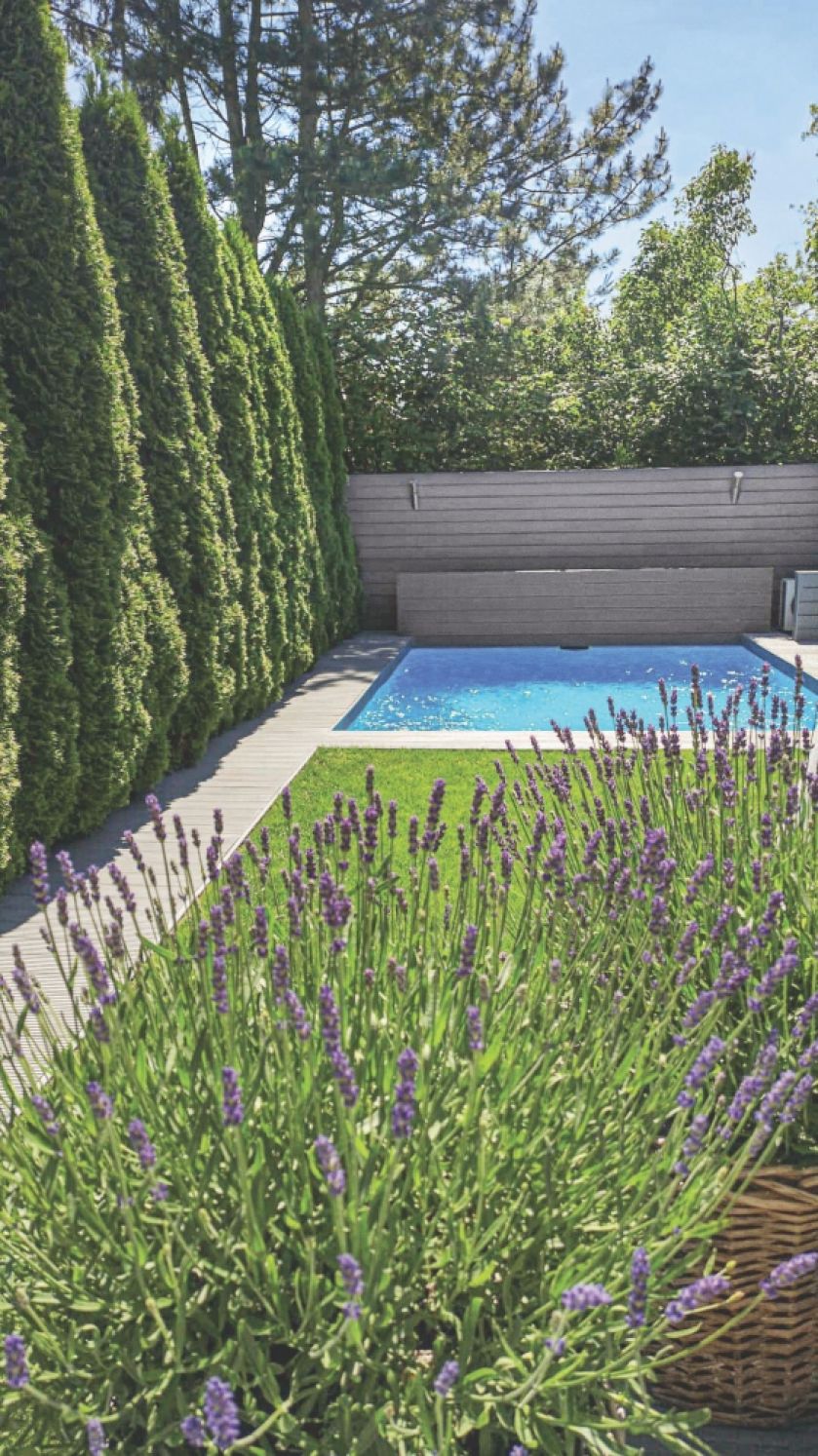 dom z basenem aranżacje