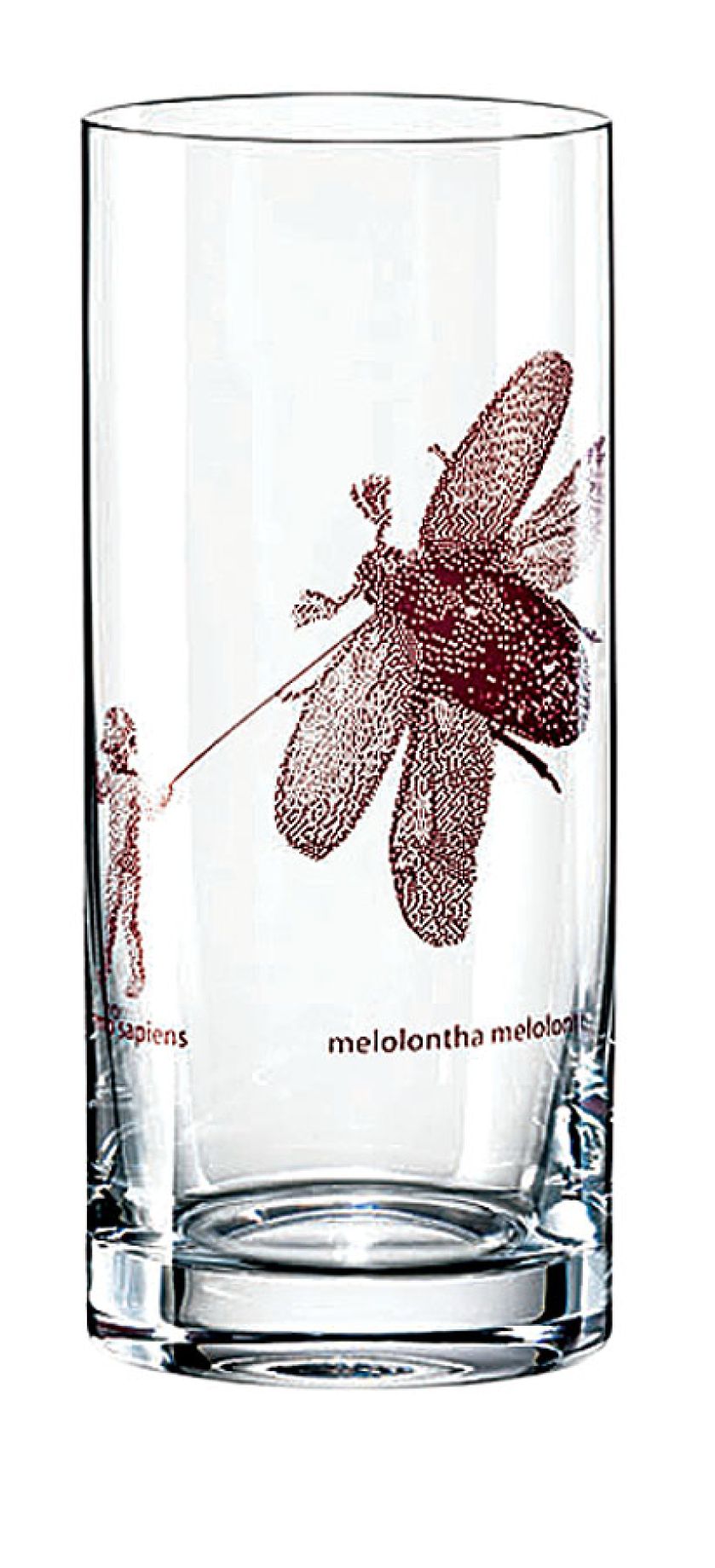 Inspiracje naturą: szklanka z motywem owada.