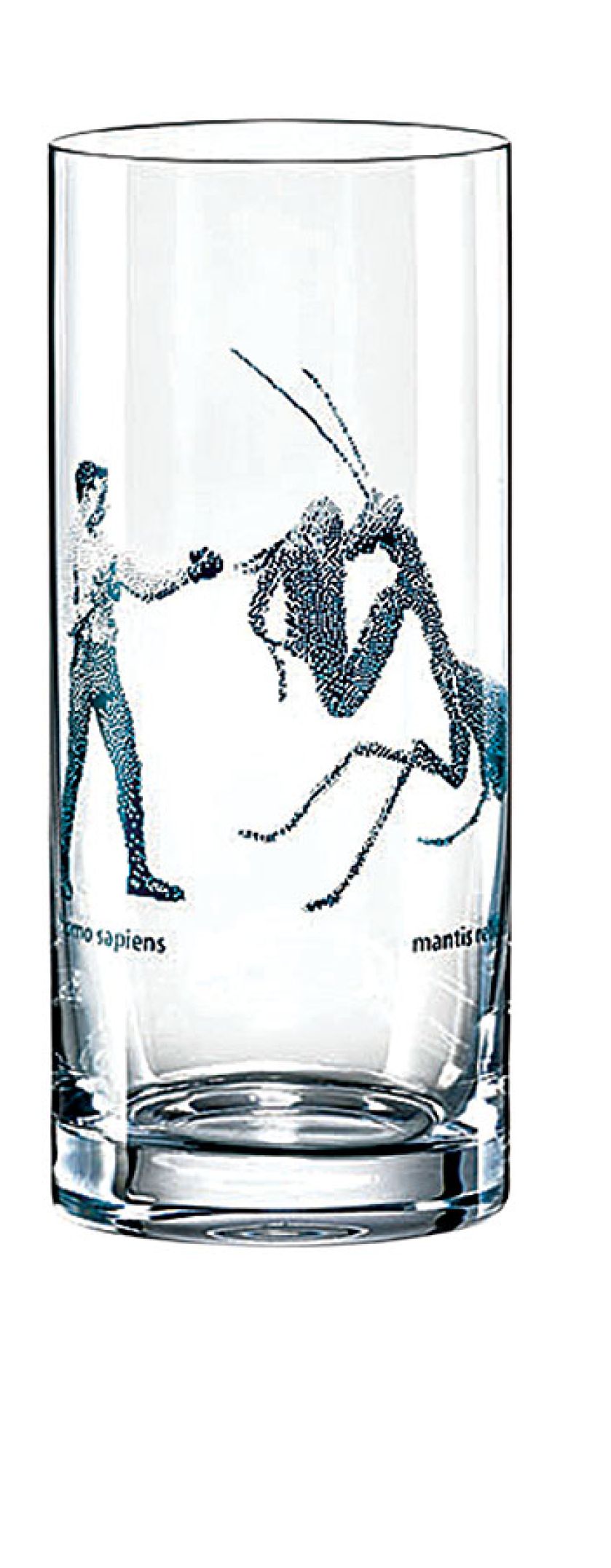 Aleksandra: oglądam wiele wystaw, albumów o sztuce, zgłębiam świat roślin i zwierząt.