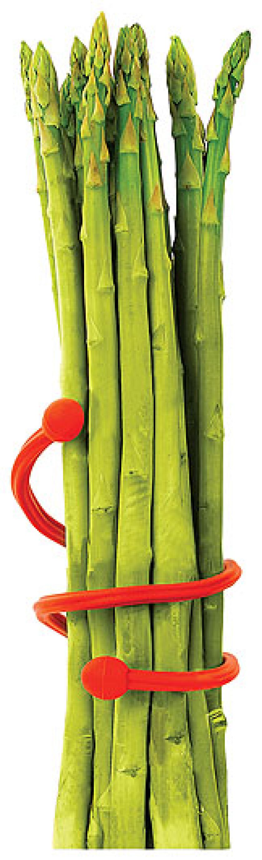 Silli Twist (Silicone Zone) za 39,90 zł. FIDE