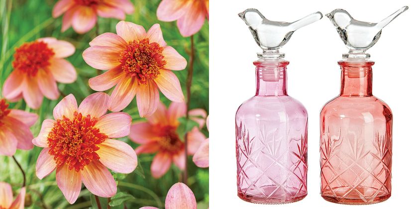 Butelka na ocet z kolekcji Wiosna-Lato 2015, Jolipa, 39 zł/sztukalavenderandhome.pl