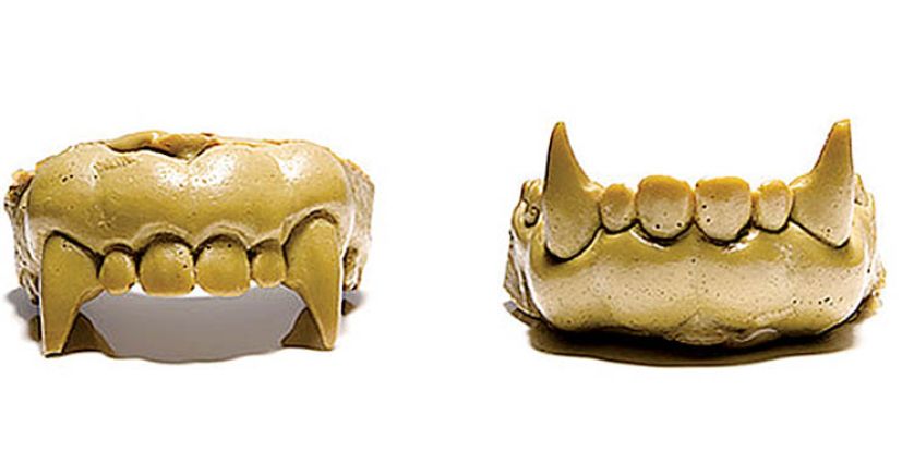 Zęby wilkołaka używane przez Michaela Jacksona w teledysku ?Thriller?.