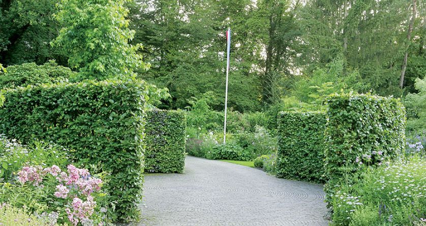 Przycięte żywopłoty. Ogród w lesie