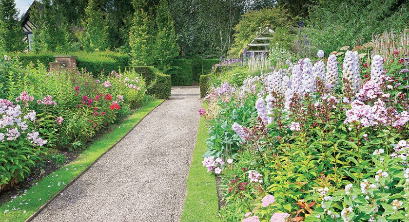 Tulipany, powojniki i szałwie między altanami