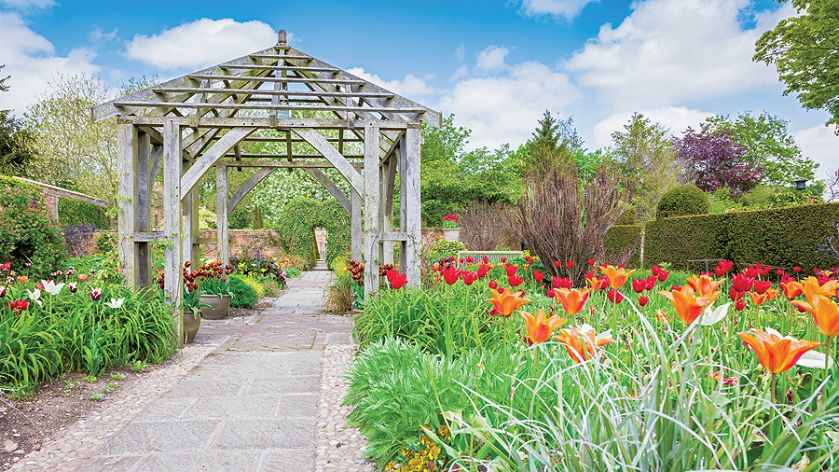 Tulipany, powojniki i szałwie między altanami