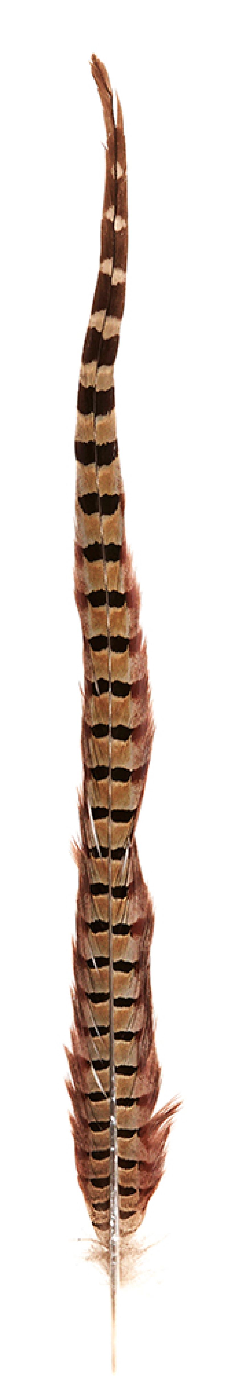 Relaks pod gołym niebem z Malabelle