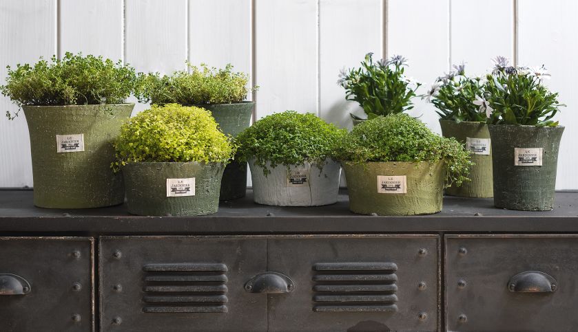 Skrzynki, osłonki, doniczki w stylu prowansalskim wykonane mogą być z ceramiki, ale także z drewna lub metalu. Można je