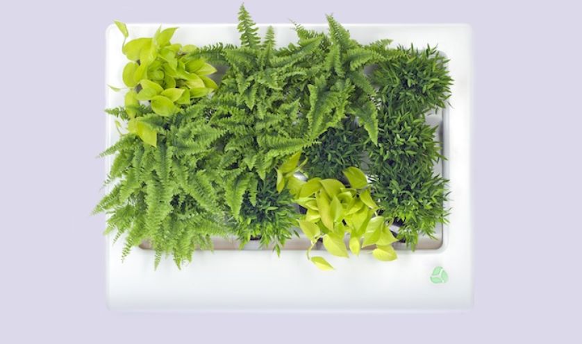 Florabo, Florama, fot. Lódź Design 2012