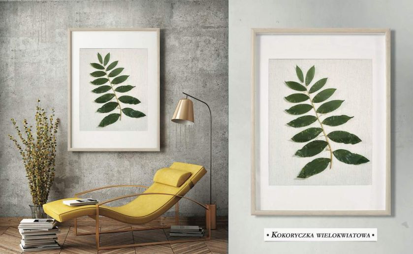 Obraz z kolekcji Botanika, naturalne liście kokoryczki wielokwiatowej na tkaninie z ekskluzywnej kolekcji Pierre’a Cardina,