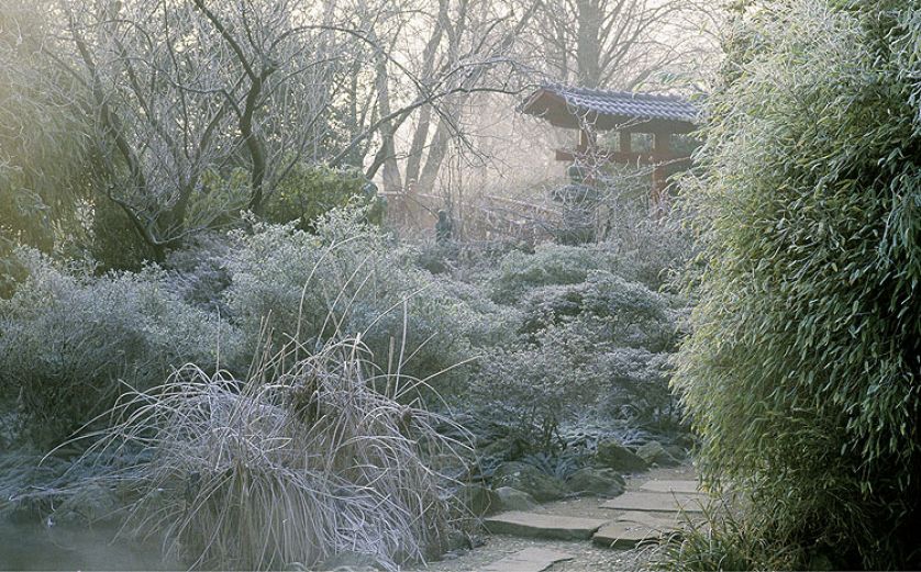 Zima w japońskim ogrodzie